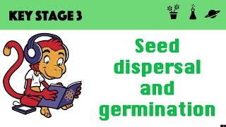 Germination and seed dispersal [upl. by Hardner]