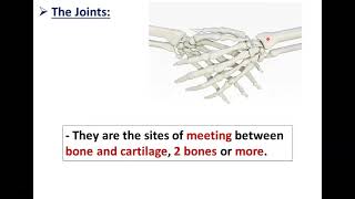 Anatomy of Joints  Dr Ahmed Farid [upl. by Anilorac]