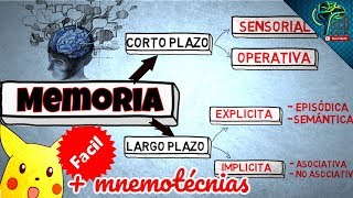 MEMORIA A CORTO PLAZO Y SUS TIPOS  FACIL CON EJEMPLOS [upl. by Ettenawtna]