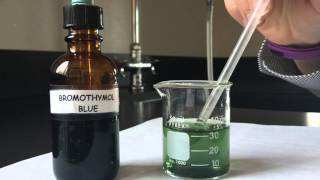 Bromothymol Blue Respiratory Physiology Experiment [upl. by Rissa]