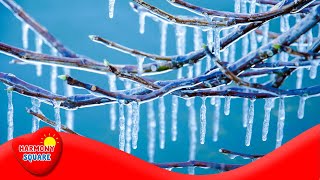 Freezing  More Grades 35 Science on the Learning Videos Channel [upl. by Weidner]